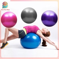 Gym Ball Yoga Ball GymBall Fitness Equipment Sports Gymnastics - Gray, 55CM