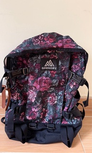 Gregory All Day Backpack 24L 紫花