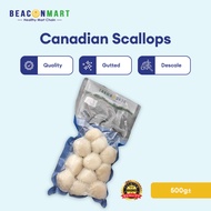 [Beacon Mart-Seafood] Frozen Canadian Scallops | 加拿大带子 | 500g±