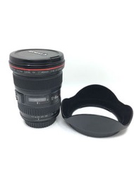 Canon 17-40mm F4