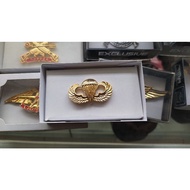 Airborne wing brivet