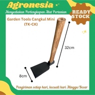 Garden Tool Mini Hoe Mini Iron Hoe (TK-CK)