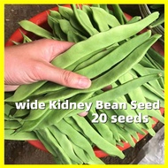 Wide Kidney Bean Seed - บรรจุ 20 เมล็ด คุณภาพดี ราคาถูก ของแท้ Green Bean Seeds High-yield Bean Vegetable Seeds Snap Beans Plants Seeds String Beans เมล็ดพันธุ์ถั่ว เมล็ดพันธุ์ผัก เมล็ดผัก เมล็ดพืช ผักสวนครัว ปลูกผัก เมล็ดพันธุ์ถั่วแขก บอนสี บอนสีหายาก