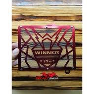 RAdiator Cover for GTR150