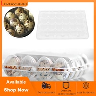 24 Grids Quail Egg Tray Plastic Transparent Egg Dispenser Holder Egg Container Packaging Box