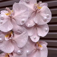 LDP [165PCS] Half Pearl Sticker 半珠珍珠贴 [Lawson De Parterre]