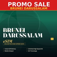 [PROMO] Brunei Travel eSIM Unlimited Data | Big Sale | Instant QR | 4G/5G