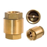 HEAVY DUTY VERTICAL SPRING CHECK VALVE / NON RETURN VALVE 1/2” - 15MM / 3/4” - 20MM / 1” - 25MM