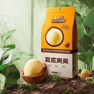 CINDY [THREE SQUIRRELS] Macadamia Nuts 100G