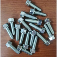 M10x30 Spanar 14 ( M10x1.25x30) Stainless Steel (9A) Hex Flange Bolt (1pc)