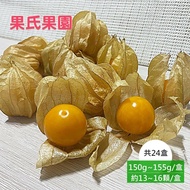 【果氏果園】季節限定 產地直送最新鮮 預購 彰化日本品種鮮採黃金莓x24盒(約150~155g/盒_約13~16顆/盒_燈籠果_產地直送)下訂後9個工作天內出貨