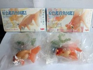 Yujin 原色鑑賞魚圖鑑I 金魚 扭蛋 2款