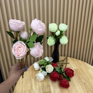 269-12 3 Beautiful Roses