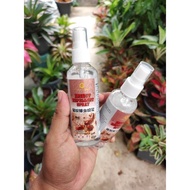 insect repellent spray / racun serangga organik / halau lipas semut dan lain