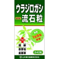 山本漢方製薬　ウラジロガシ流石粒　240粒(配送区分:A)