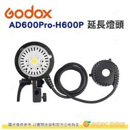 神牛 Godox AD600Pro-H600P 公司貨 AD600Pro 保榮卡口 手持型延長燈頭 不附燈管 H600P