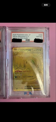 金啟暴龍  250/193 psa10