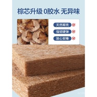 Dormitory Latex x200 Dedicated Mattress Foldable Coconut Palm Residential 90x190 Rental College Stud