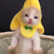 Banana Cat Mini Head Cover Cute Cat Pats Props Head Cover Stuffed Toy Banana Cat Kitten Comforts Dol
