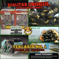MRS BENIH KECAMBAH POLONG BIBIT SAWIT TOPAZ UNGGUL BERSERTIFIKAT BIBIT BENIH KECAMBAH SAWIT TOPAZ SU
