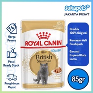 Royal Canin Adult British Shorthair Makanan Kucing Dewasa Wet 85gr