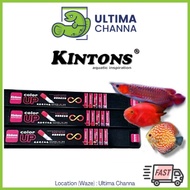 Kintons Color Up 2ft/ 2.5ft aquarium Arowana display light for fish tank Flowerhorn Channa Discus Bl