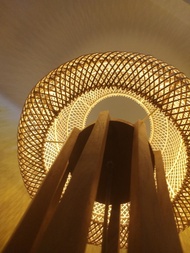 EL VIOLIN EXPERIENCIA