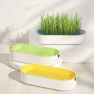 (Without Seeds) Cat Grass Planting Box, Planting Hydroponics Box, Garden Seed Sprouter Tray, Seed Sp