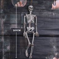 ฮาโลวีนโครงกระดูกหัว Prop Bar Terror ฉากตกแต่งบรรยากาศ Prop Secret Room Ghost House จําลองโครงกระดูก