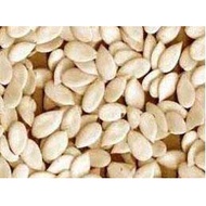 Melon seed 250G Melon seed (Mooncake)