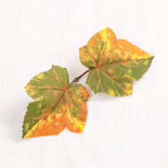 20Pcs Simulation Plant Willow Leaves Rose Leaves Small Grass Leaves Simulation Wall Decoration Artif