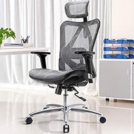 Computer Office Chair, Aluminum Alloy Plating Chair Foot Home Swivel Seat Ergonomic E-Sports Chair Boss Chair (Color : Gray) interesting