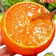 Jeruk jeli Ehime No. 38 asli, buah-buahan musim segar, jeruk tangerine Sichuan, jeruk kupas tangan, 