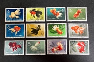 特38 金魚蓋銷 CTO