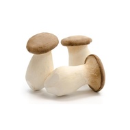 Fresh King Oyster Mushroom 杏鲍菇 | (1 pack)