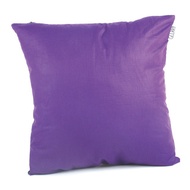 Eggplant Cushion - Sofa Cushion - 40 x 40