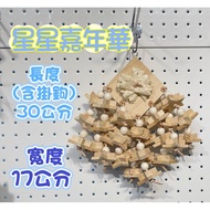 Handmade Toy Star Carnival