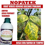 OBAT KUNING DAUN Kacang Panjang NOPATEK 500 ML - Pupuk Organik Cair Mengatasi Penyakit Kuning Daun Kacang Panjang Paling Bagus Pupuk Fungisida Hayati Atasi Virus Daun Kuning Pada Kacang Panjang Terbaik 100% ORIGINAL Cegah &amp; Obati Penyakit Kuning Daun