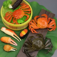 Simulated crab model, hermit crab toy, king crab, children's Chinese horseshoe crab, marine life cra