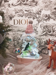 聖誕浮游花 乾燥花夜燈 浮游花夜燈 聖誕禮物