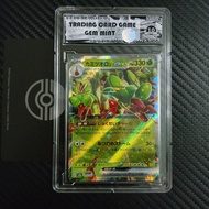 Genuine Slab Cave 10 Point Hydrapple ex 012 102 Japanese Frame Card d70 22 psa