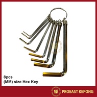 8 Pcs MM size Hex Key / Allen Key Set