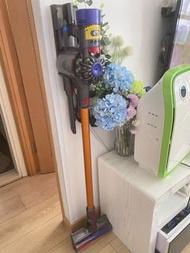 dyson  v8 absolute