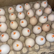 OMEGA VILLAGE CHICKEN EGGS (30 EGGS) HT