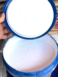 Sơn nước ngoại thất - Siêu cao cấp - Jotun Jotashield Chống phai màu - Bề mặt bóng - 5L