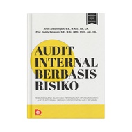 Risk-Based Internal Audit Book