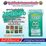 ปุ๋ยเกล็ด ออคิเดนซ์ YVP บรรจุ 25 kg. มี 5สูตร 20-20-20   8-24-24   16-7-32   33-5-3  35-4-4  ปุ๋ยละล