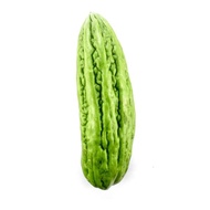 BITTER GOURD/ SAYUR PERIA 500GM