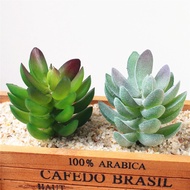 Fake Plant - SiIicol Stone Lotus Cactus ms 87