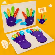 Wooden Palm Cognitive Puzzle Puzzle Kindergarten Montessori Teaching Aids Children's Body Structure 